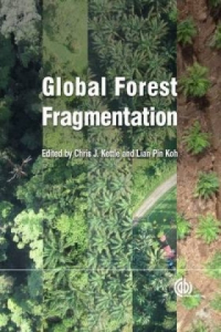 Carte Global Forest Fragmentation 