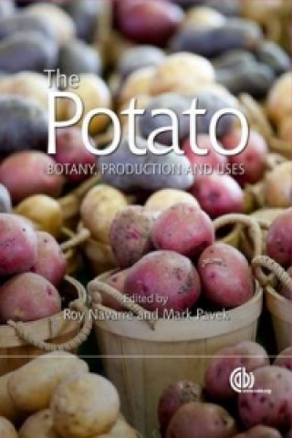 Kniha Potato 