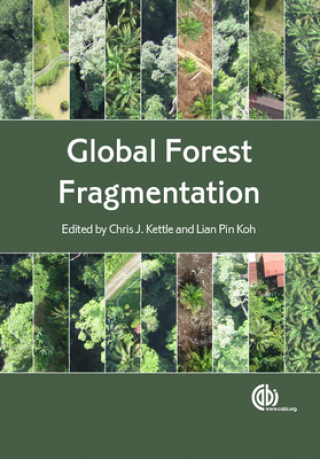 Carte Global Forest Fragmentation 