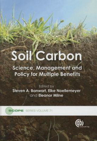 Könyv Soil Carbon 