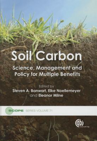 Kniha Soil Carbon 