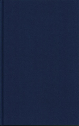 Könyv Gay Pornography John Mercer