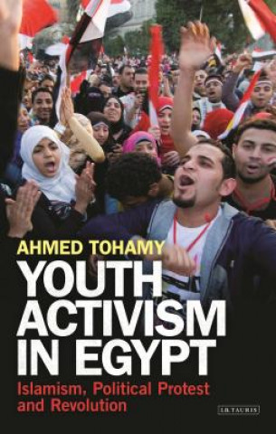 Könyv Youth Activism in Egypt Ahmed Tohamy Abdelhay