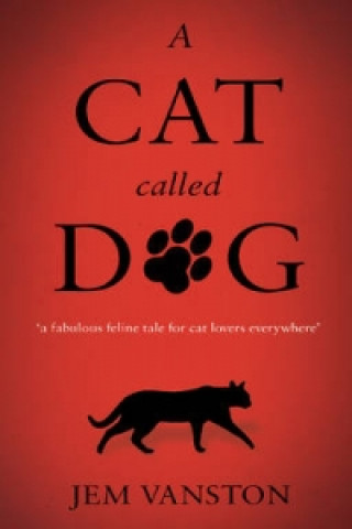 Book Cat Called Dog Jem Vanston