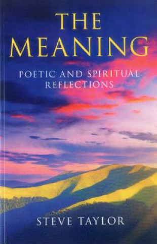 Kniha Meaning, The - Poetic and spiritual reflections Steve Taylor