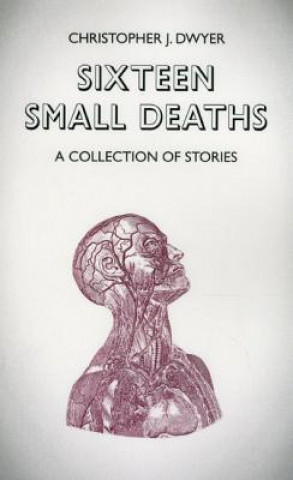 Kniha Sixteen Small Deaths Christopher J. Dwyer