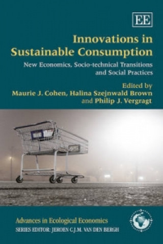 Könyv Innovations in Sustainable Consumption 