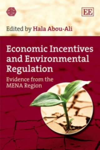 Kniha Economic Incentives and Environmental Regulation 