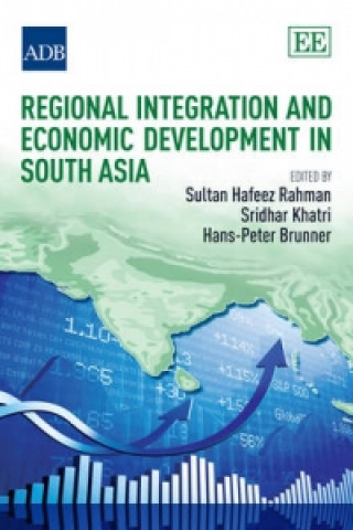 Kniha Regional Integration and Economic Development in South Asia 