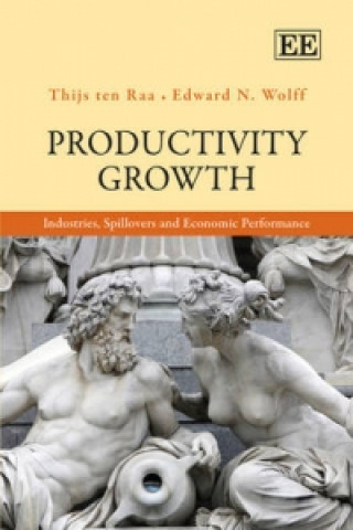 Kniha Productivity Growth - Industries, Spillovers and Economic Performance Thijs Ten Raa