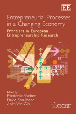 Kniha Entrepreneurial Processes in a Changing Economy 