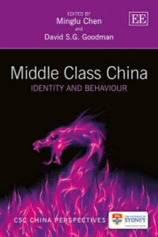 Knjiga Middle Class China Minglu Chen