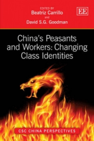 Kniha China's Peasants and Workers: Changing Class Identities 