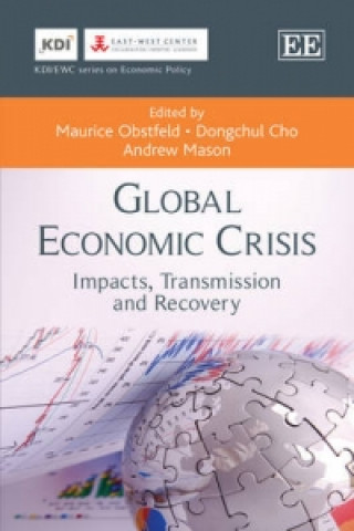 Kniha Global Economic Crisis 