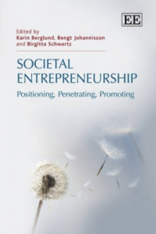 Kniha Societal Entrepreneurship - Positioning, Penetrating, Promoting 