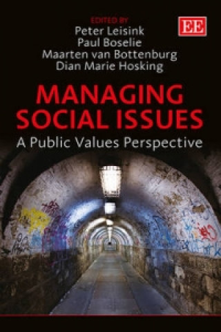 Boek Managing Social Issues - A Public Values Perspective Peter Leisink