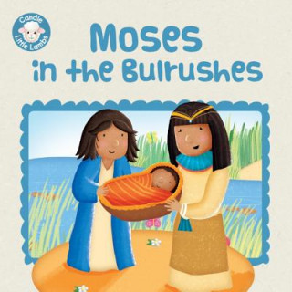 Книга Moses in the Bulrushes Karen Williamson