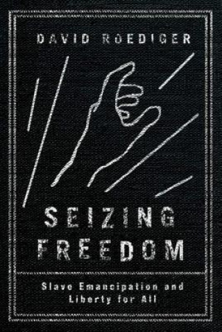 Könyv Seizing Freedom David Roediger