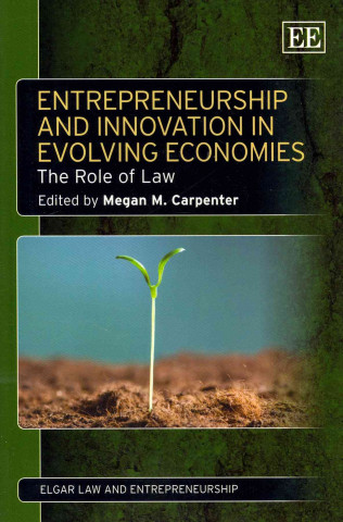 Kniha Entrepreneurship and Innovation in Evolving Economies 