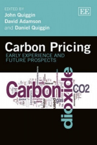 Kniha Carbon Pricing - Early Experience and Future Prospects 