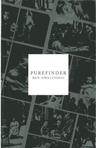 Könyv Purefinder Ben Gwalchmai