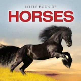 Carte Little Book of Horses Jon Stroud