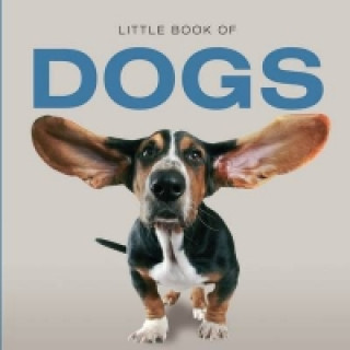 Kniha Little Book of Dogs Jon Stroud