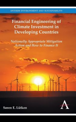 Kniha Financial Engineering of Climate Investment in Developing Countries Soren E. Lutken