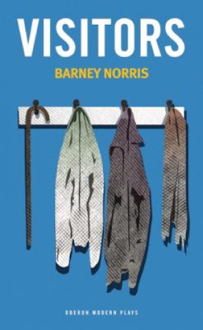 Boek Visitors Barney Norris
