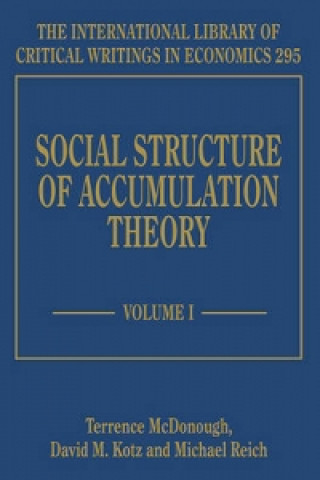 Kniha Social Structure of Accumulation Theory 