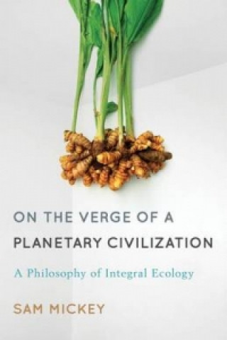 Livre On the Verge of a Planetary Civilization Sam Mickey