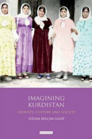 Kniha Imagining Kurdistan Ozlem Belcim Galip