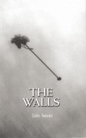 Kniha Walls Colin Teevan