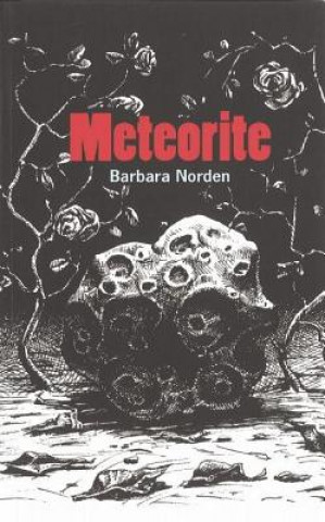 Buch Meteorite Barbara Norden