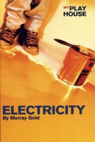Livro Electricity Murray Gold