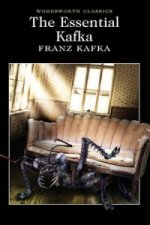 Könyv The Essential Kafka Franz Kafka