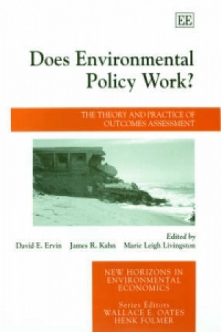 Libro Does Environmental Policy Work? 