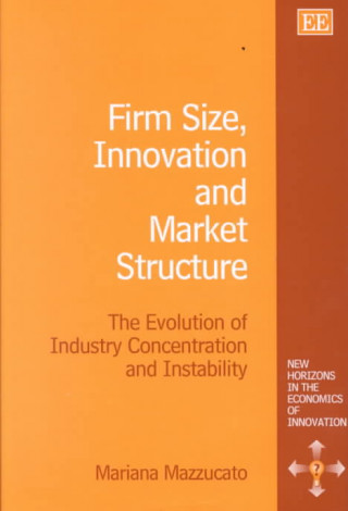 Kniha Firm Size, Innovation and Market Structure Mariana Mazzucato