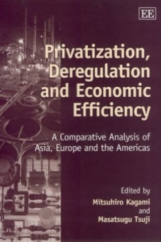 Книга Privatization, Deregulation and Economic Efficiency 