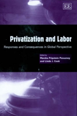 Kniha Privatization and Labor 