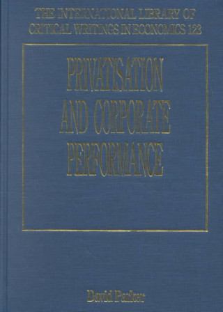 Kniha Privatisation and Corporate Performance David Parker