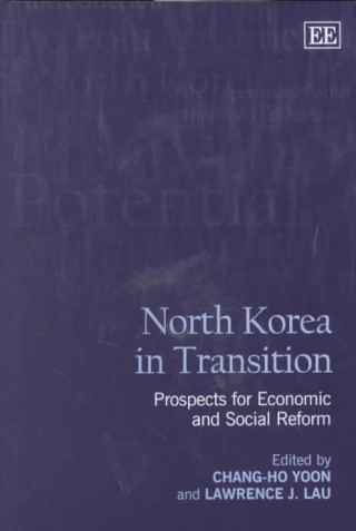Книга North Korea in Transition 