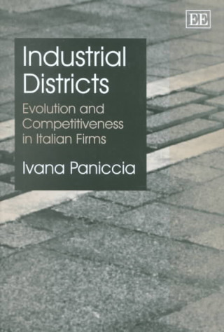 Buch Industrial Districts I. Paniccia