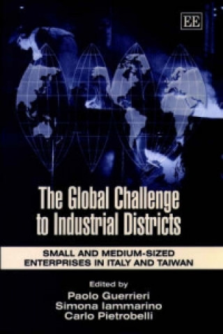 Kniha Global Challenge to Industrial Districts 