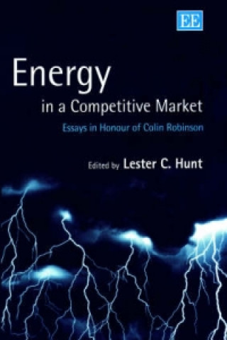 Buch Energy in a Competitive Market 