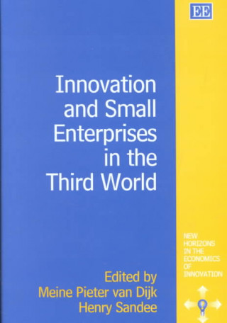 Kniha Innovation and Small Enterprises in the Third World 