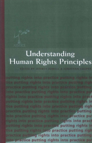 Buch Understanding Human Rights Principles Justice (Society)