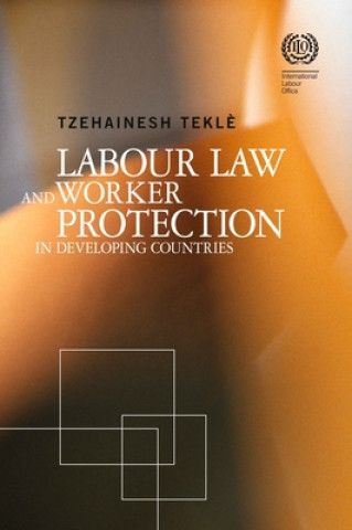 Książka Labour Law and Worker Protection in Developing Countries Tzehainesh Tekl