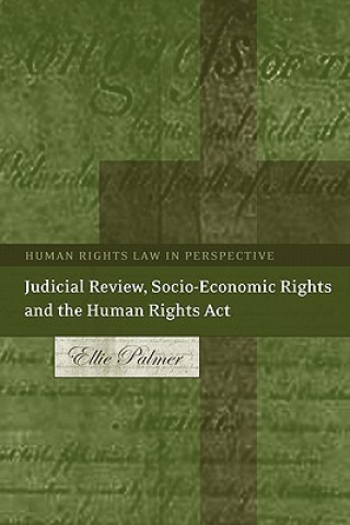 Könyv Judicial Review, Socio-Economic Rights and the Human Rights Act Ellie Palmer