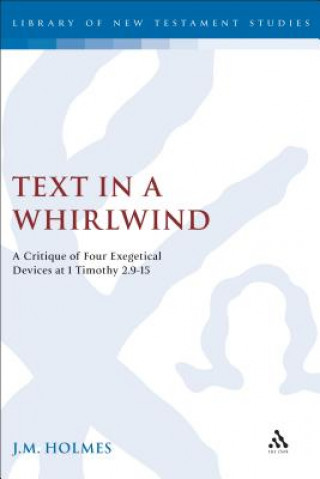 Carte Text in a Whirlwind Joan Holmes